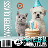 talleres virtuales de pasteleria canina y felina
